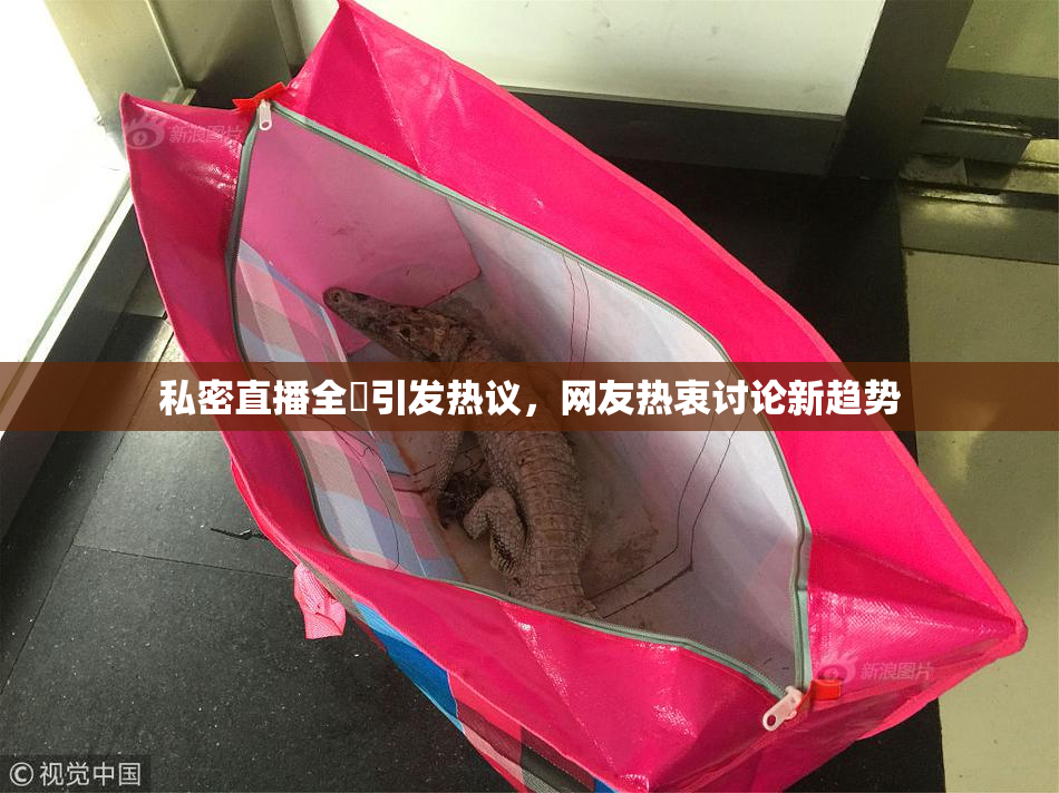 私密直播全婐引发热议，网友热衷讨论新趋势