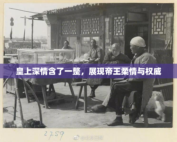 皇上深情含了一整，展现帝王柔情与权威