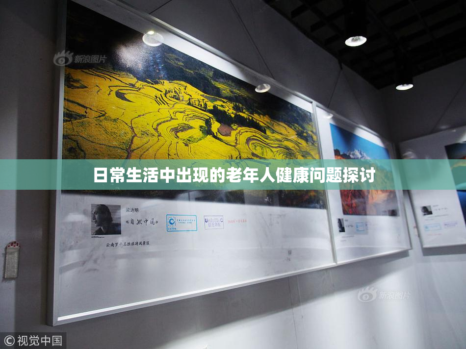 日常生活中出现的老年人健康问题探讨