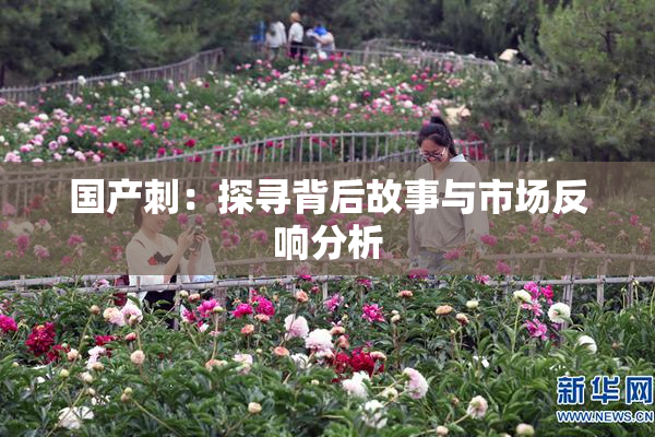 国产刺：探寻背后故事与市场反响分析