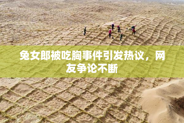 兔女郎被吃胸事件引发热议，网友争论不断