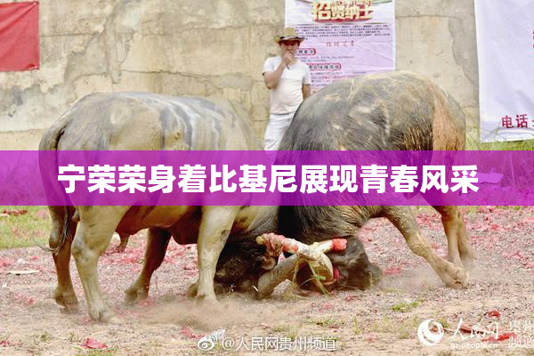 宁荣荣身着比基尼展现青春风采