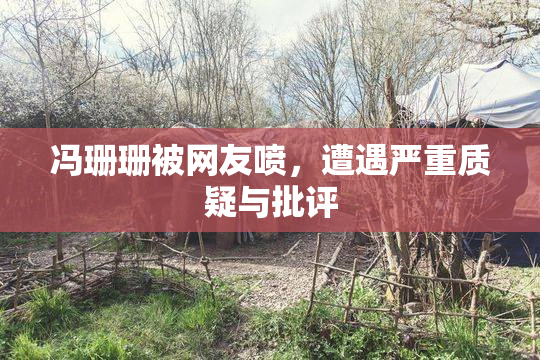 冯珊珊被网友喷，遭遇严重质疑与批评
