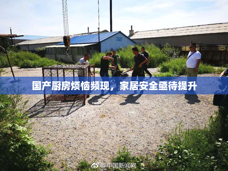 国产厨房烦恼频现，家居安全亟待提升