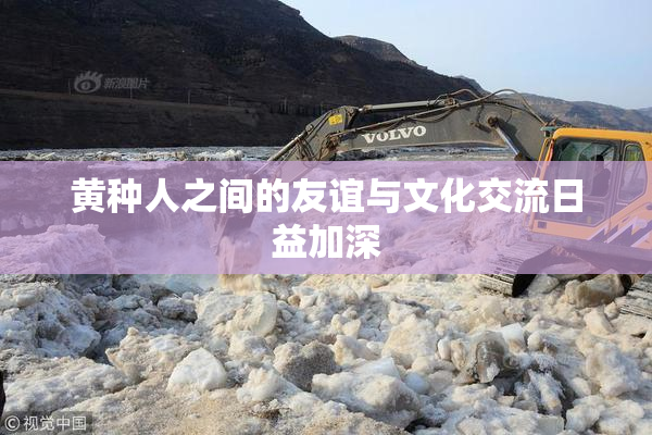 黄种人之间的友谊与文化交流日益加深