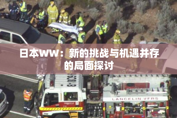 日本WW：新的挑战与机遇并存的局面探讨