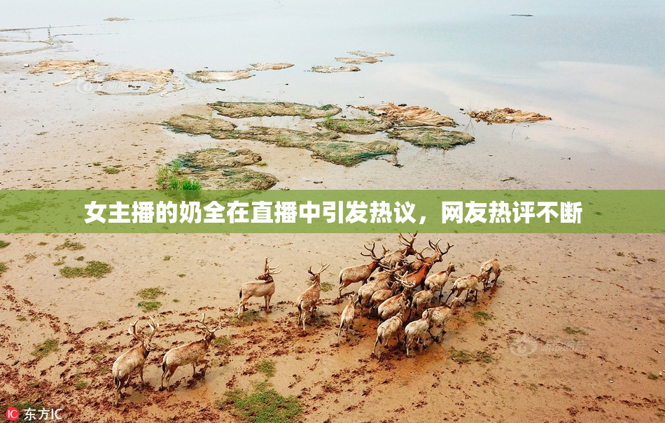 女主播的奶全在直播中引发热议，网友热评不断