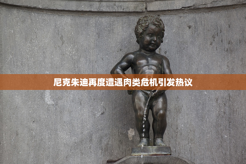 尼克朱迪再度遭遇肉类危机引发热议