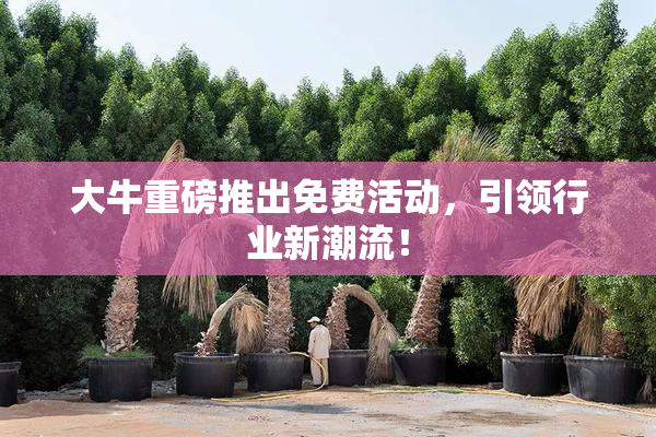 大牛重磅推出免费活动，引领行业新潮流！