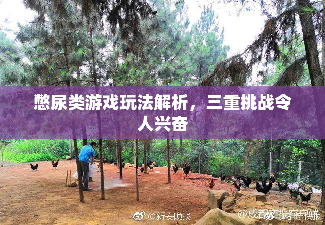 憋尿类游戏玩法解析，三重挑战令人兴奋