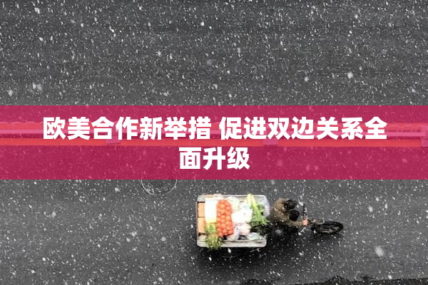 欧美合作新举措 促进双边关系全面升级