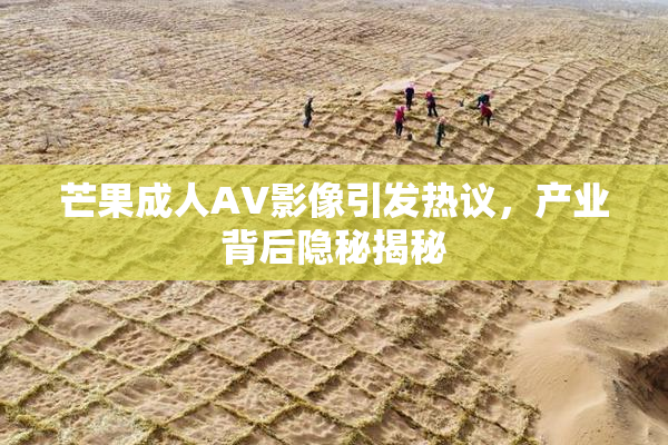 芒果成人AV影像引发热议，产业背后隐秘揭秘