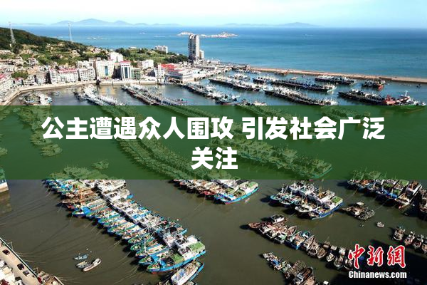 公主遭遇众人围攻 引发社会广泛关注