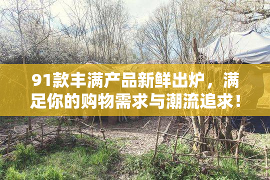 91款丰满产品新鲜出炉，满足你的购物需求与潮流追求！