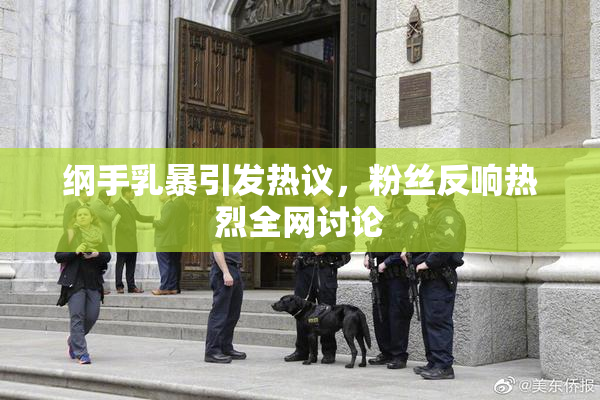 纲手乳暴引发热议，粉丝反响热烈全网讨论