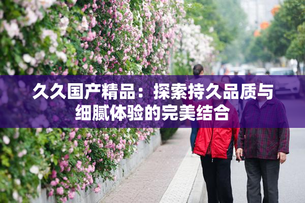 久久国产精品：探索持久品质与细腻体验的完美结合