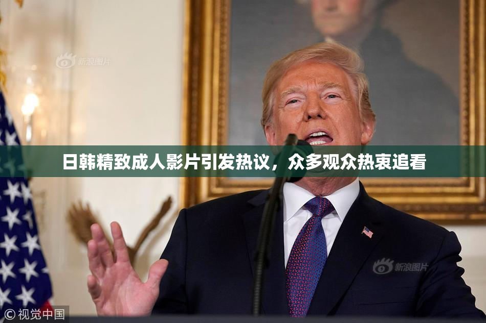 日韩精致成人影片引发热议，众多观众热衷追看