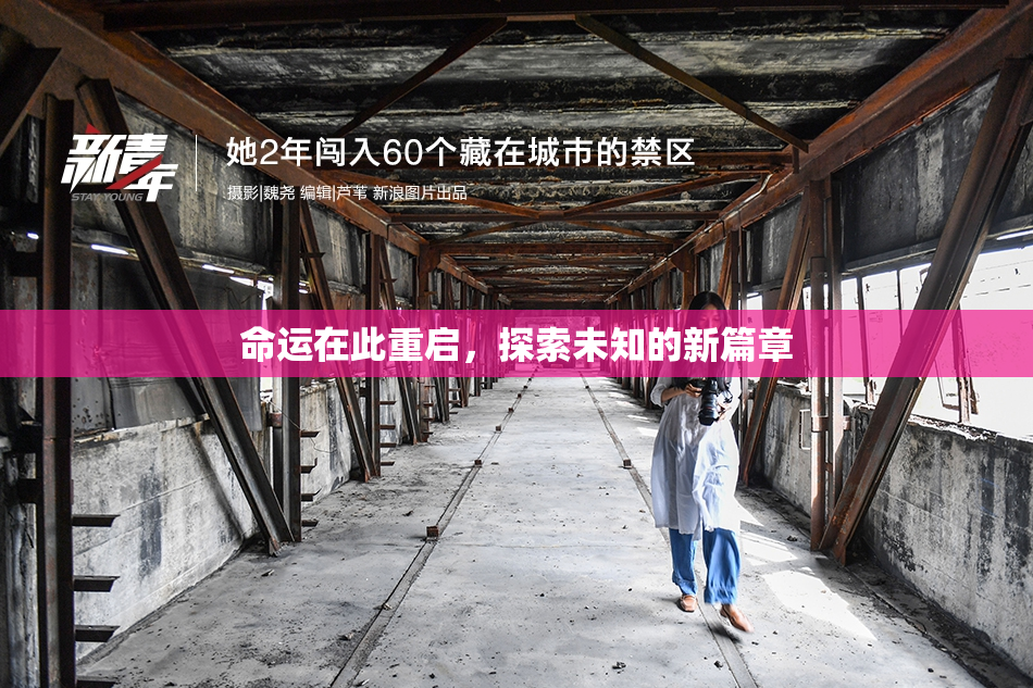 命运在此重启，探索未知的新篇章
