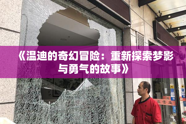 《温迪的奇幻冒险：重新探索梦影与勇气的故事》