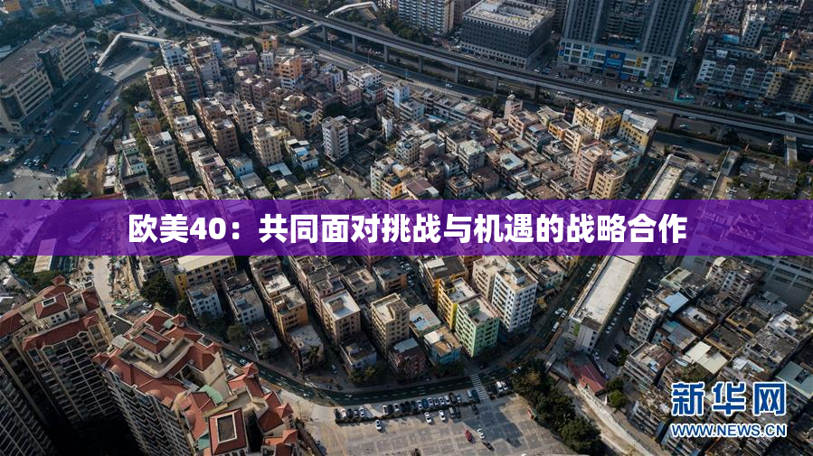 欧美40：共同面对挑战与机遇的战略合作