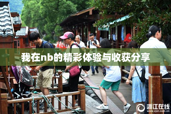 我在nb的精彩体验与收获分享