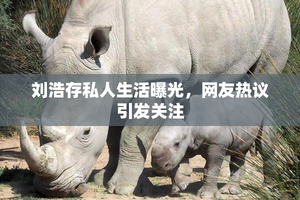 刘浩存私人生活曝光，网友热议引发关注