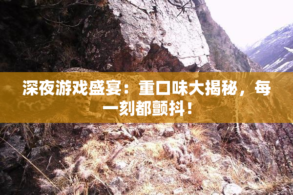 深夜游戏盛宴：重口味大揭秘，每一刻都颤抖！