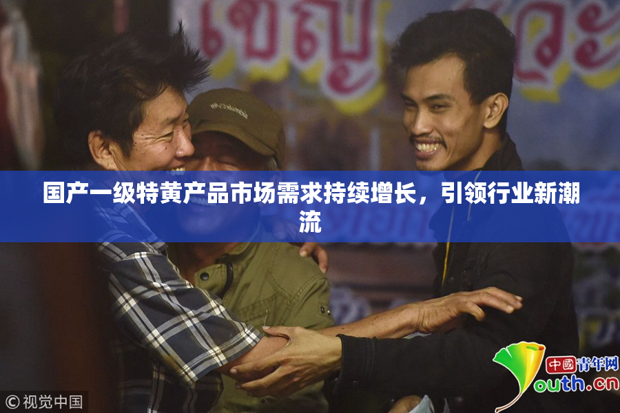 国产一级特黄产品市场需求持续增长，引领行业新潮流