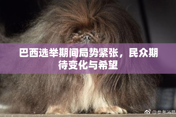 巴西选举期间局势紧张，民众期待变化与希望