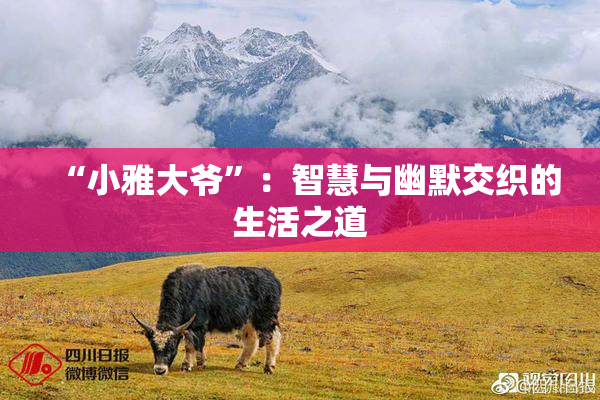 “小雅大爷”：智慧与幽默交织的生活之道