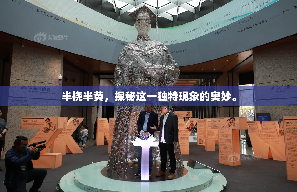 半挠半黄，探秘这一独特现象的奥妙。