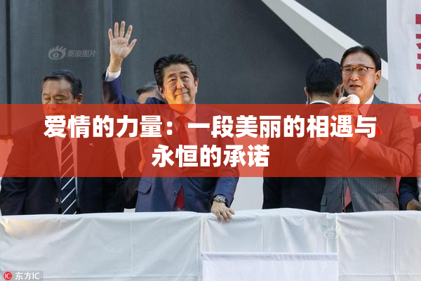爱情的力量：一段美丽的相遇与永恒的承诺