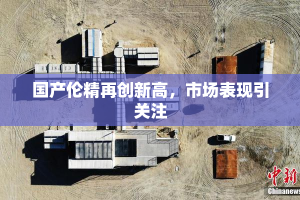 国产伦精再创新高，市场表现引关注