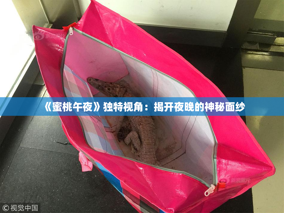 《蜜桃午夜》独特视角：揭开夜晚的神秘面纱