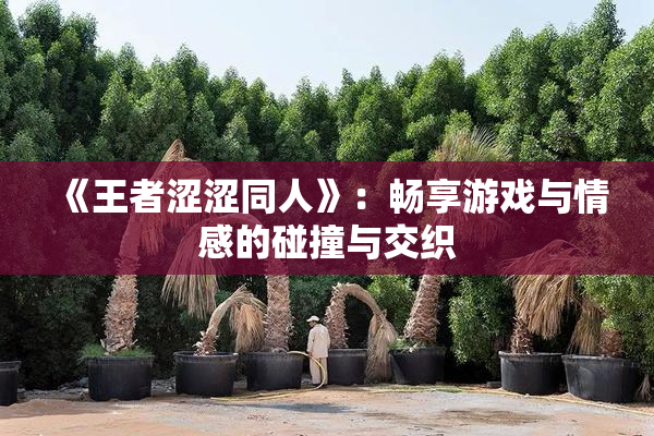 《王者涩涩同人》：畅享游戏与情感的碰撞与交织