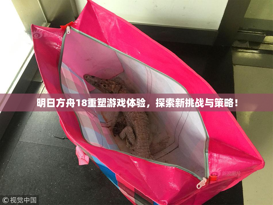 明日方舟18重塑游戏体验，探索新挑战与策略！