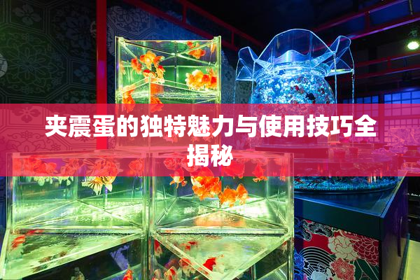 夹震蛋的独特魅力与使用技巧全揭秘