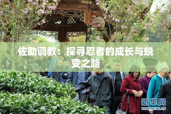 佐助调教：探寻忍者的成长与蜕变之路