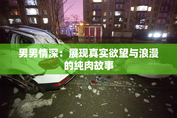 男男情深：展现真实欲望与浪漫的纯肉故事
