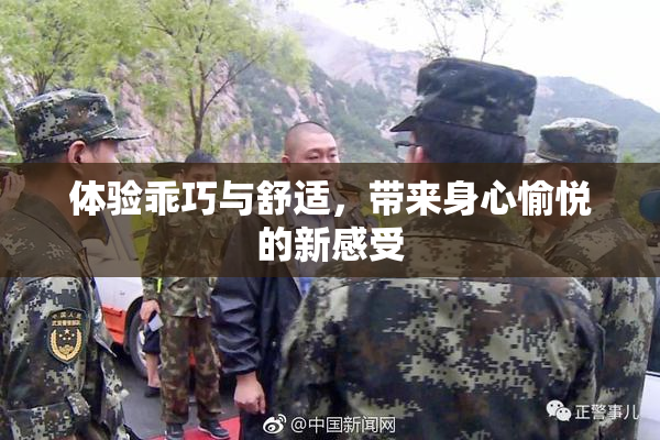 体验乖巧与舒适，带来身心愉悦的新感受