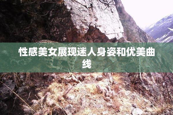 性感美女展现迷人身姿和优美曲线
