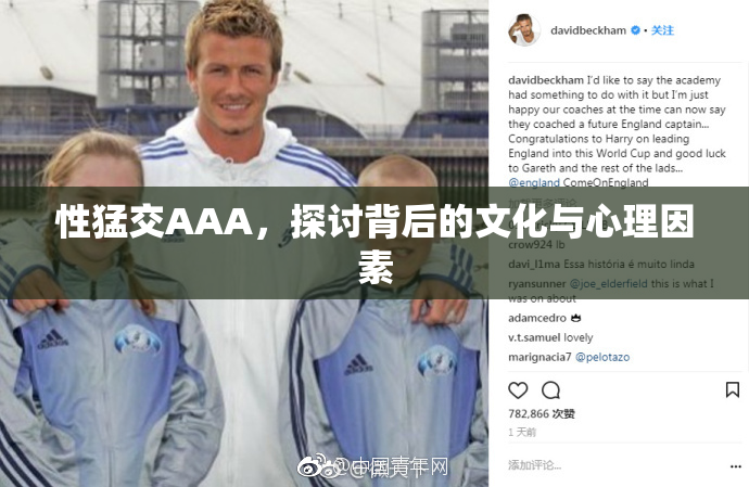 性猛交AAA，探讨背后的文化与心理因素
