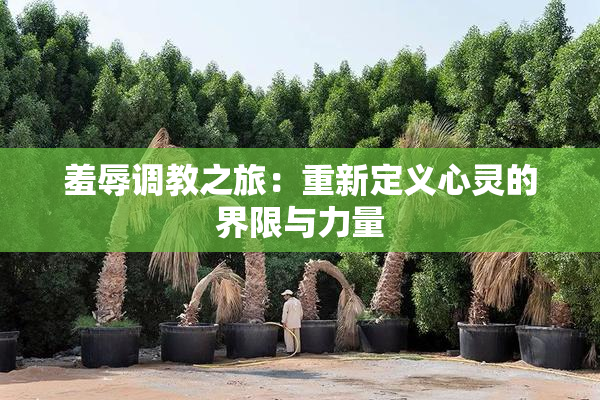 羞辱调教之旅：重新定义心灵的界限与力量