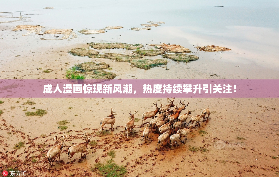 成人漫画惊现新风潮，热度持续攀升引关注！