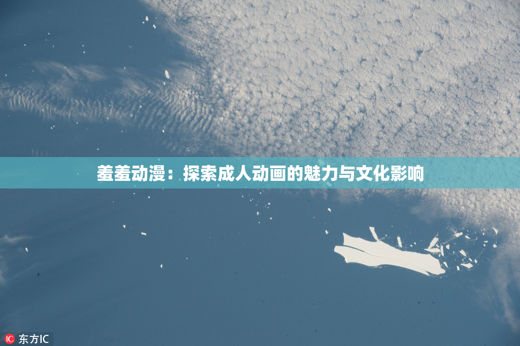 羞羞动漫：探索成人动画的魅力与文化影响