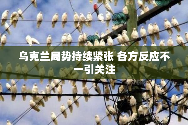 乌克兰局势持续紧张 各方反应不一引关注