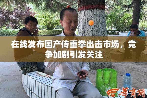 在线发布国产传重拳出击市场，竞争加剧引发关注