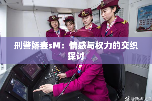 刑警娇妻sM：情感与权力的交织探讨
