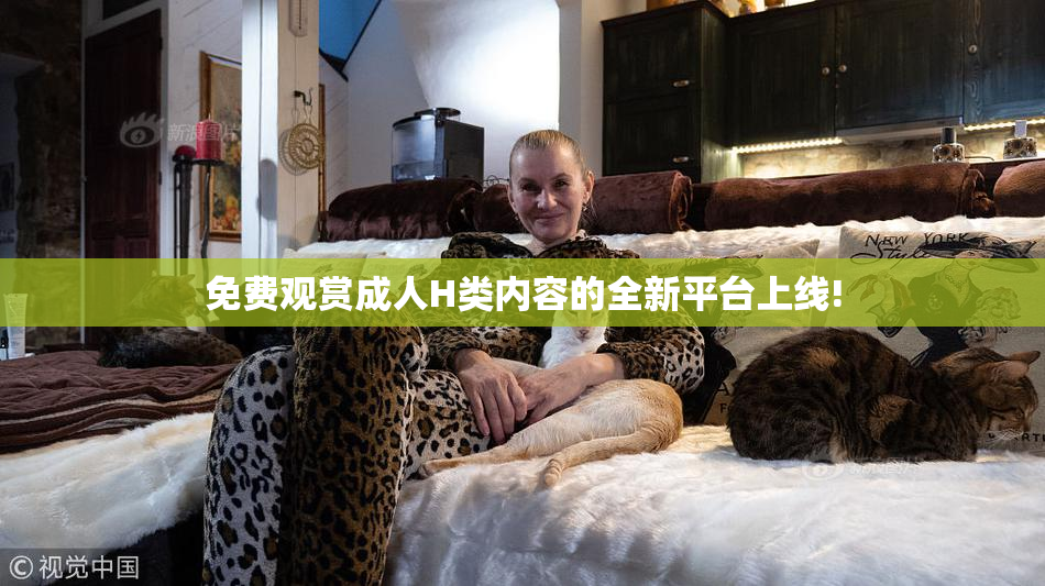 免费观赏成人H类内容的全新平台上线!