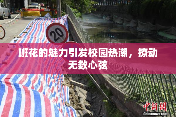 班花的魅力引发校园热潮，撩动无数心弦